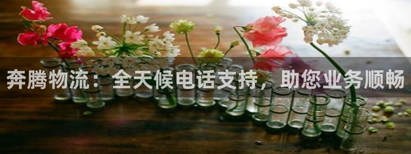 28圈代理落网：奔腾物流：全天候电话