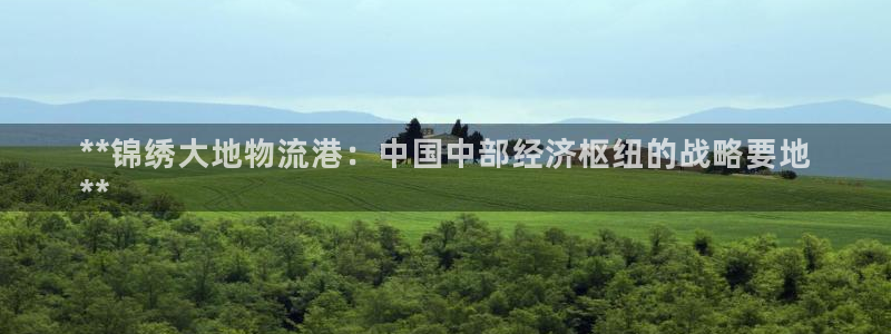 28圈PG电子游戏：**锦绣大地物流