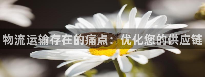 28圈客服电话：物流运输存在的痛点：