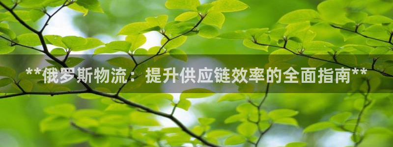 28圈官网版下载：**俄罗斯物流：提