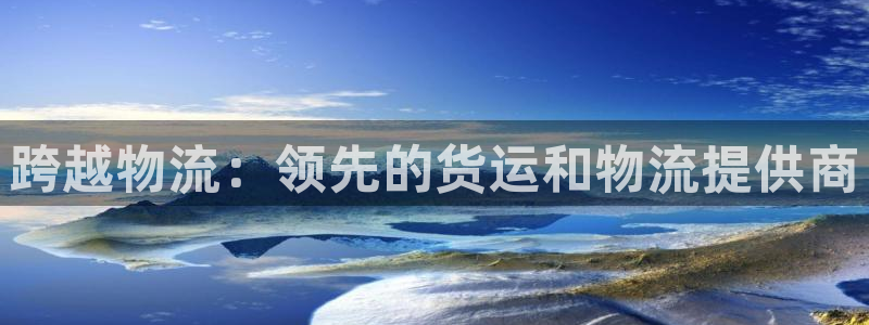 28圈圈：跨越物流：领先的货运和物流