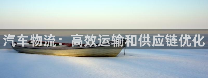 28圈大舞台：汽车物流：高效运输和供