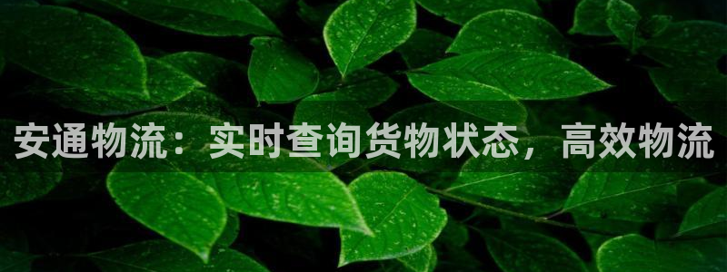 加拿大28圈是什么：安通物流：实时查