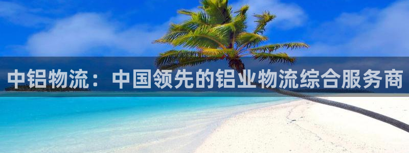 28圈注册网址百度知道：中铝物流：中