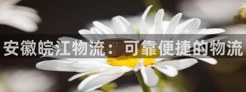 28圈PG电子游戏：安徽皖江物流：可