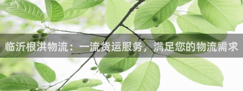 28圈的平台：临沂根洪物流：一流货运